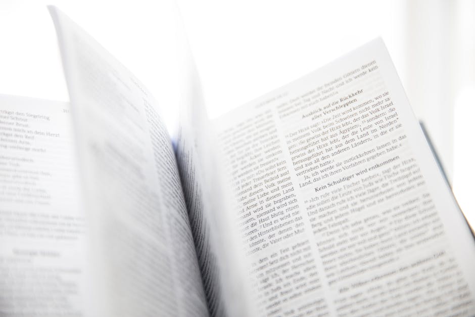 Understanding the Bible: A Beginner's Roadmap